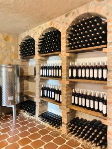 Winnica Nad Źródłem - Domki w winnicy z kominkami i tężniami