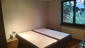 Gimnazjalna 5 - Apartamenty i pokoje w Centrum Zakopanego