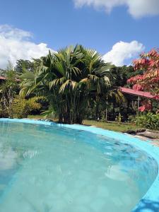 PosadaManduka Eco-Hostel