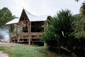 Khaokhopimphupha farmstay เขาค้อพิมภูผาฟาร์มสเตย์ ไม่มีไฟฟ้า น้ำจากน้ำตกธรรมชาติ Low cabon with Sustainability cares