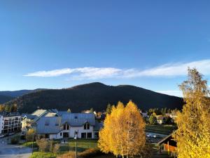Appartements Appartement Villard-de-Lans, 2 pieces, 6 personnes - FR-1-761-35 : photos des chambres