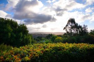 Belle Voir- scenic views, steps from town