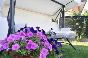 Casablanca - SantʼAmbrogio