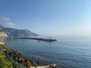 Appartements Plein centre de Beaulieu : photos des chambres