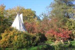 Tentes de luxe Levaltipis : photos des chambres