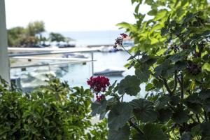 Porto Evia Boutique Hotel Evia Greece