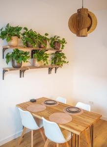 Apartment Innenstadt- Zentral und Exklusiv in Bestlage, Stilvolles Ambiente, alles zu Fuß erkunden