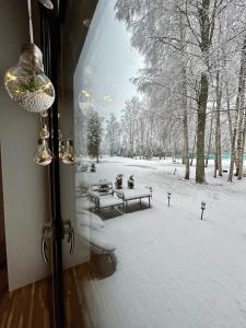 Albatross Getaway by the sea, SPA and forest with a Terrace