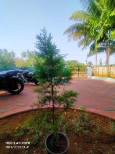 Om home stay