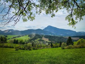 Traditional deer Cabin with Sauna - Chata Srňacie