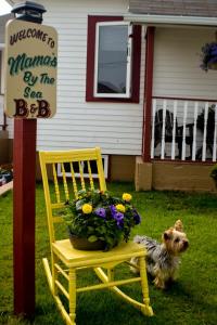 Mama`s By The Sea B&B