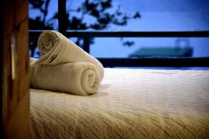 Cabañas Borgolafquen