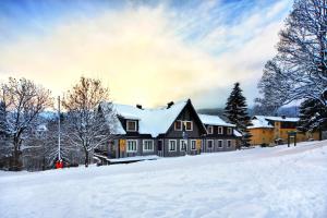 Apartment Hradečanka