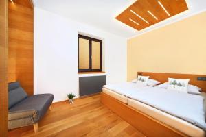 Apartment Hradečanka