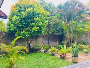 Family Villa Mirissa