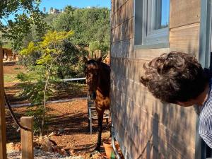 obrázek - Location Tiny House Loule