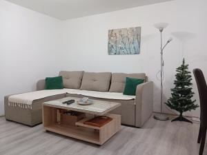 Apartman Žujan