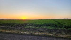 Coastal Sunset Tiny Home - Port Fairy Tiny Homes