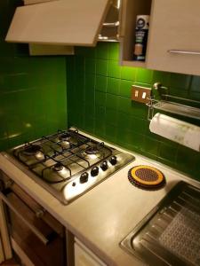 Minohouse Vatican view