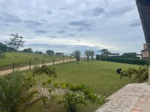 Ponta da piteira - 伊比拉奎拉