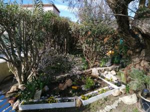 Appartements maison climatisee dans jardin : photos des chambres