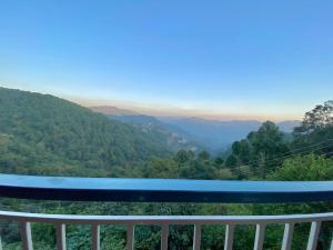 The Walnut Homestay I Kasauli I Perfect Stay
