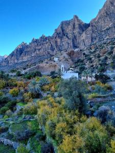 Hadash guest house
