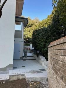 le camelie del Lario