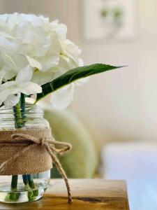 Abode à la Mode Centrally Located 2BR1BA Home