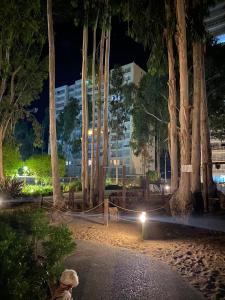 Costa Algarrobo Departamento Amoblado