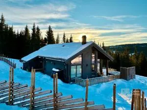 New cabin with sauna and ski in out - Tretten