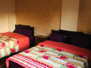 Single Room room in Happy house pyramids view