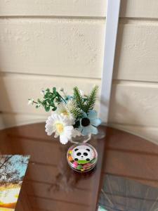 kit Net Recanto do Panda