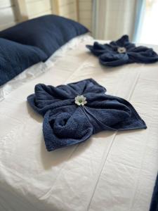 kit Net Recanto do Panda