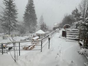 Chalet jolie Luxury Vila Sinaia