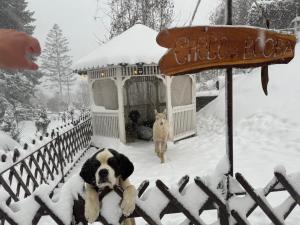 Chalet jolie Luxury Vila Sinaia