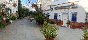 Típico y pintoresco patio de vecinos, con encanto