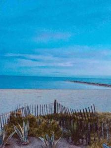 029- Appart 1 chambre, vue sur Mer, 1ère ligne *