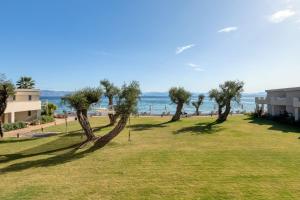 Miramare Beach, Moraitika 490 84, Corfu, Greece.