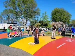 Levin TOP 10 Holiday Park - Manakau