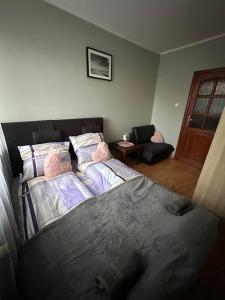 Apartament Morenowe Wzgórze