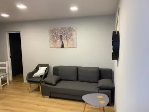 Modern Apartment - 伊万哥罗德