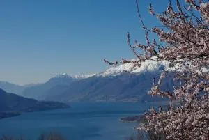 Hotel Tamola - 马代西莫