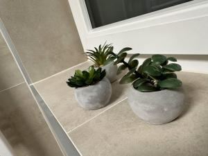 Zillertal Center Apartment Villa