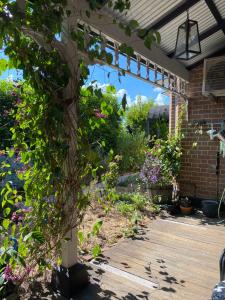 Wingham House - Pet Friendly