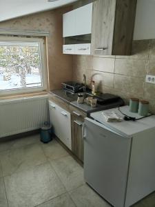 Apartman Zoric