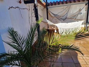 La casa del patio ATBA00260