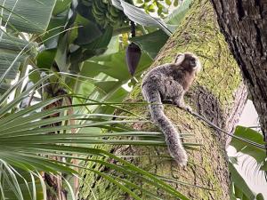 Casa BellsBeach 2, ar cond