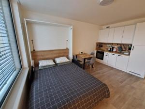 Prague City Center Apartment