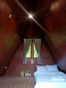 Glamping Apis Serena